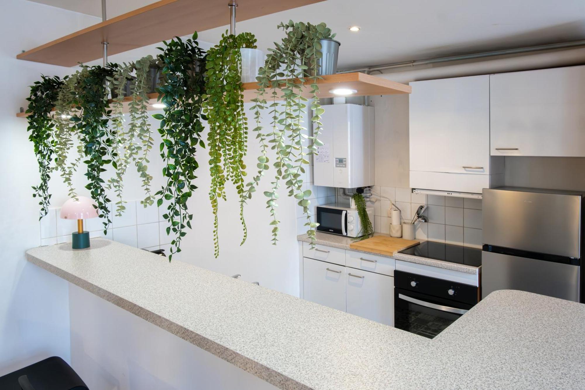 Les Halles Appartement